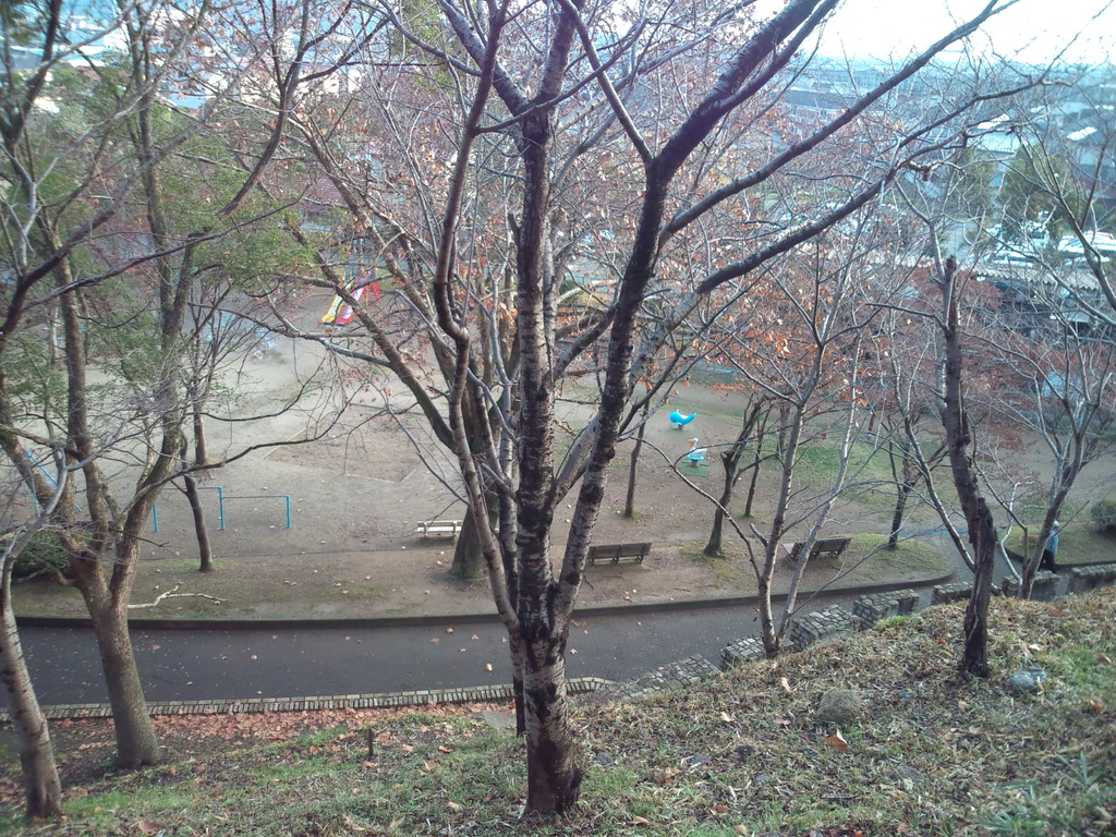 太子山 山中より、下方には太子山公園が見える。