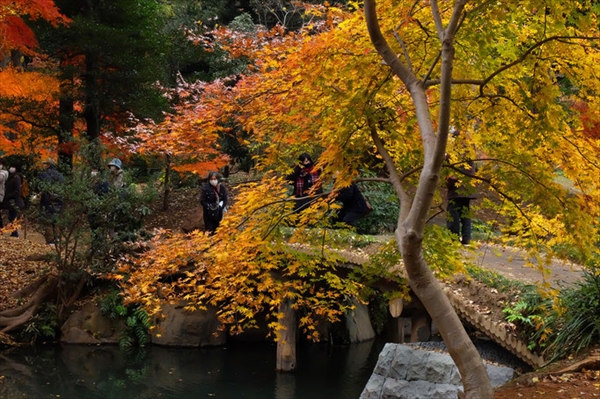 六義園