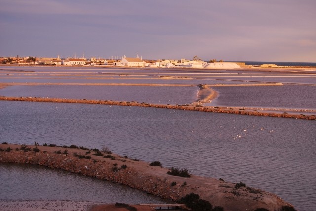 Vista de las Salinas de San Pedro del Pinatar