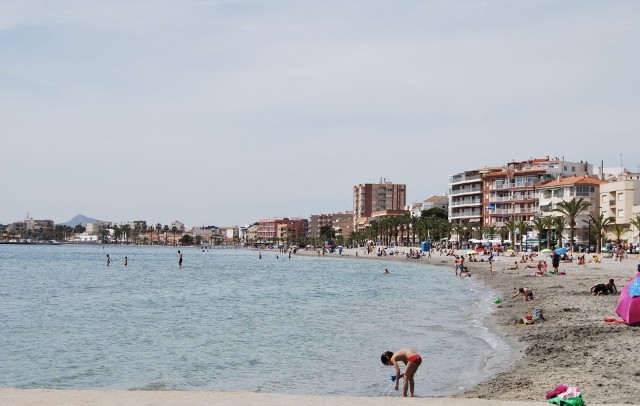 Playa de Villananitos