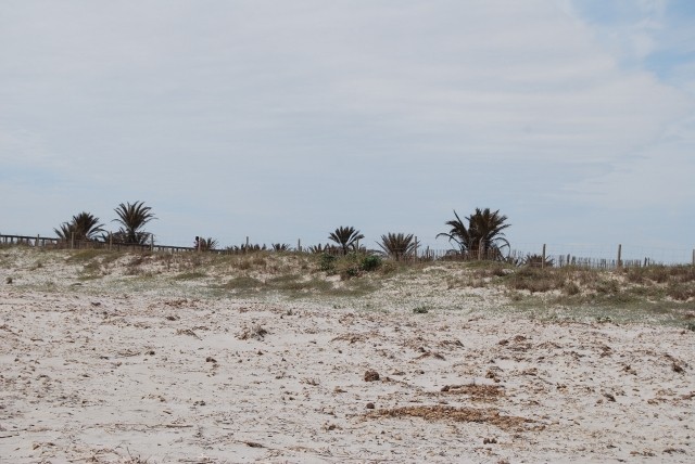 Dunas en el Parque Regional de las Salinas de San Pedro del Pinatar