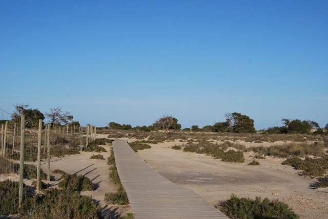 Senda el Coterillo