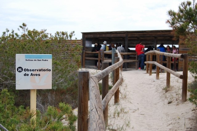 Observatorio de aves