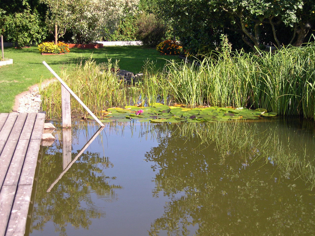Sachverständiger Gutacher Schwimmteiche Naturpool ...
