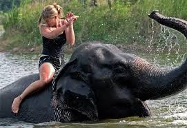 bathing with elephants