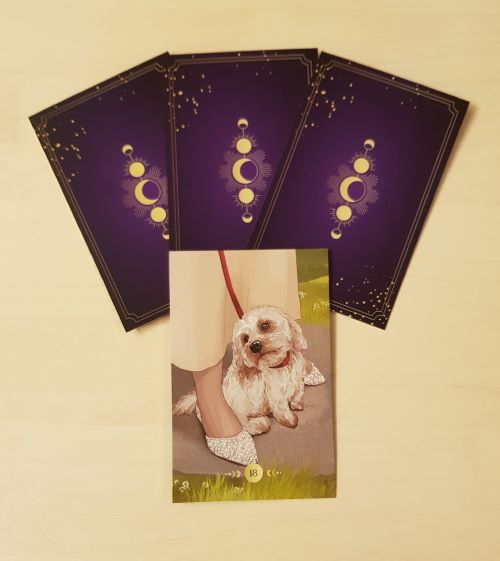 Tageskarte - Der Hund