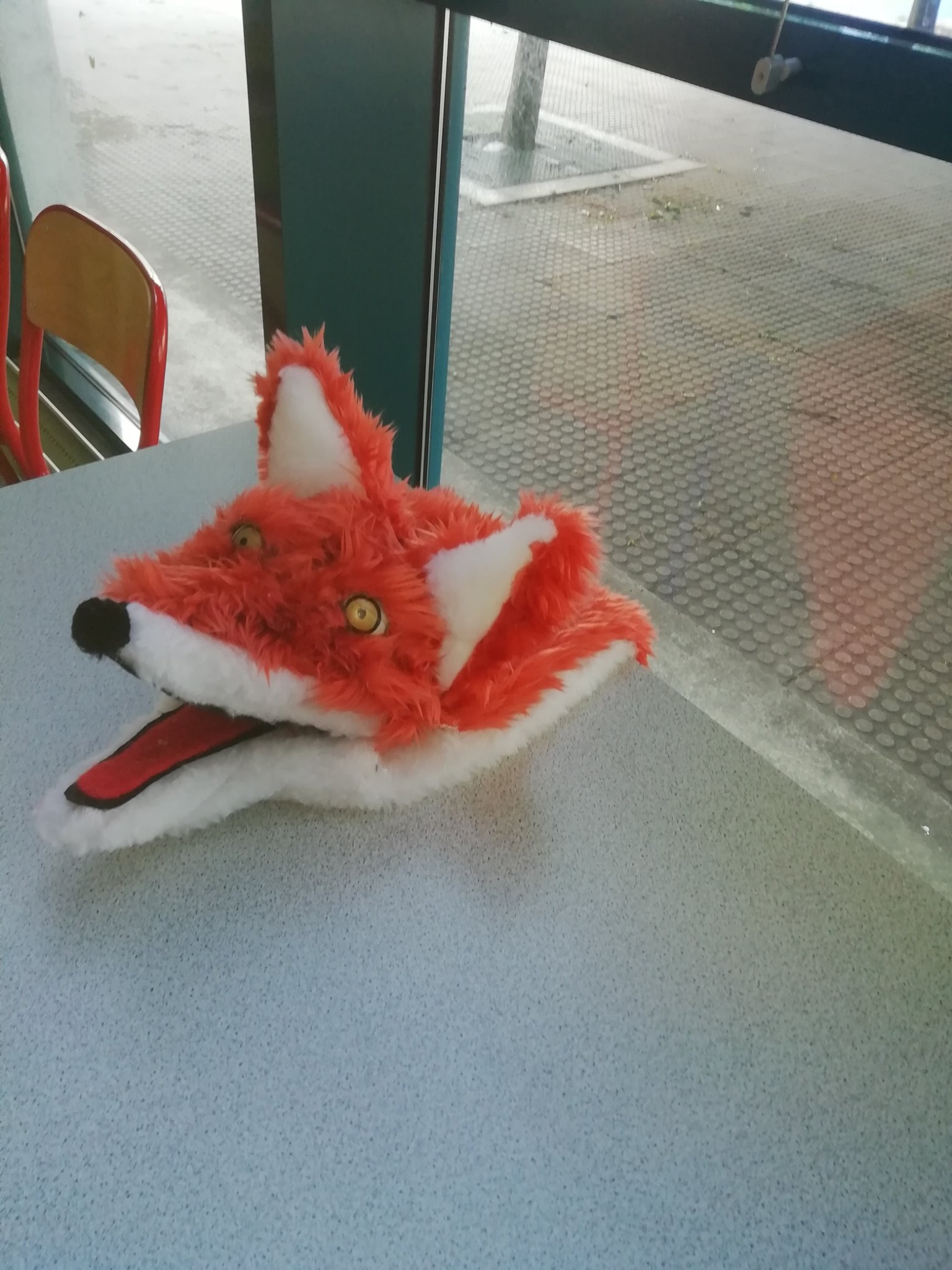 tête du renard