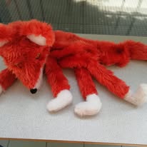 montage du renard