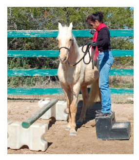 Position the horse in a way that encourages him to stay put.