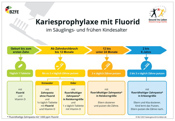 Grafik-Quelle: www.zm-online.de/archiv/2021/09/zahnmedizin/einigung-auf-fluoridempfehlungen-fuer-kleinkinder/
