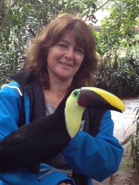 Toucan au Costa Rica