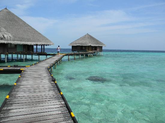 Les Maldives, un paradis sur Terre