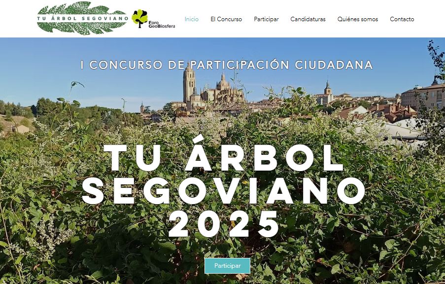 Se acerca el concurso TU ÁRBOL SEGOVIANO