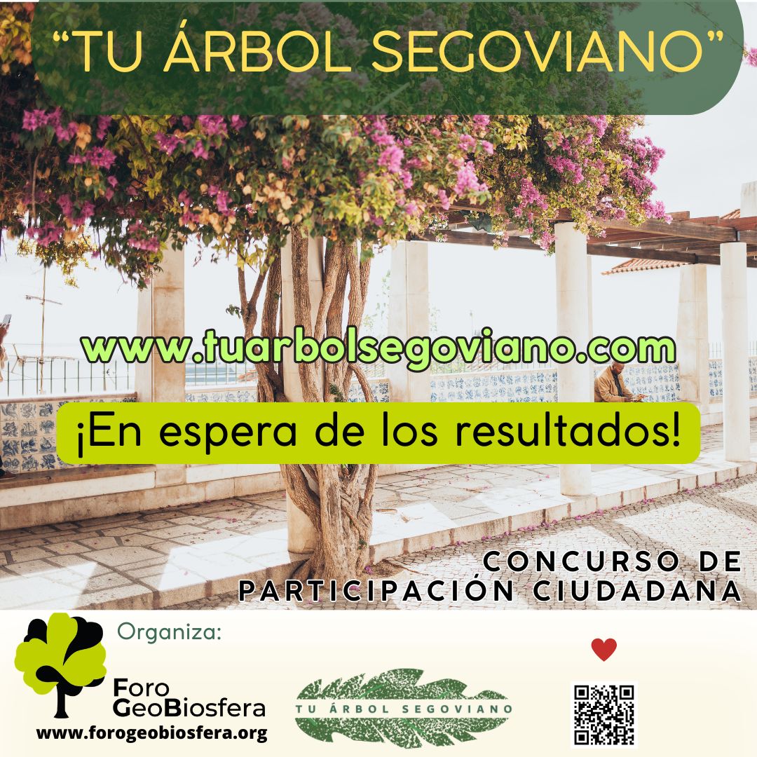 Esperando a los árboles ganadores