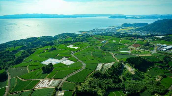 東彼杵町の風景(出典:東彼杵町)