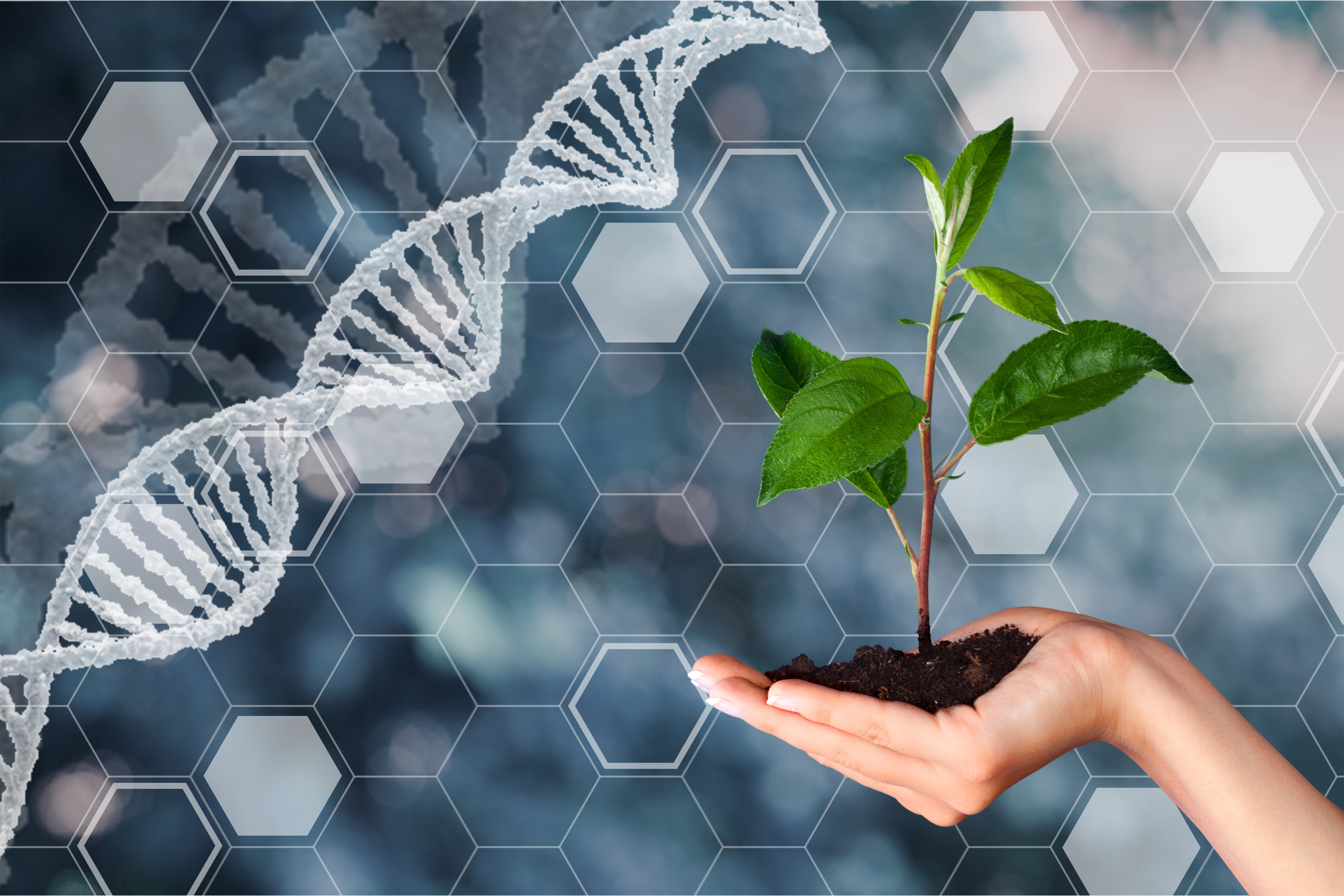 お知らせ 日本大学 応用生物科学科