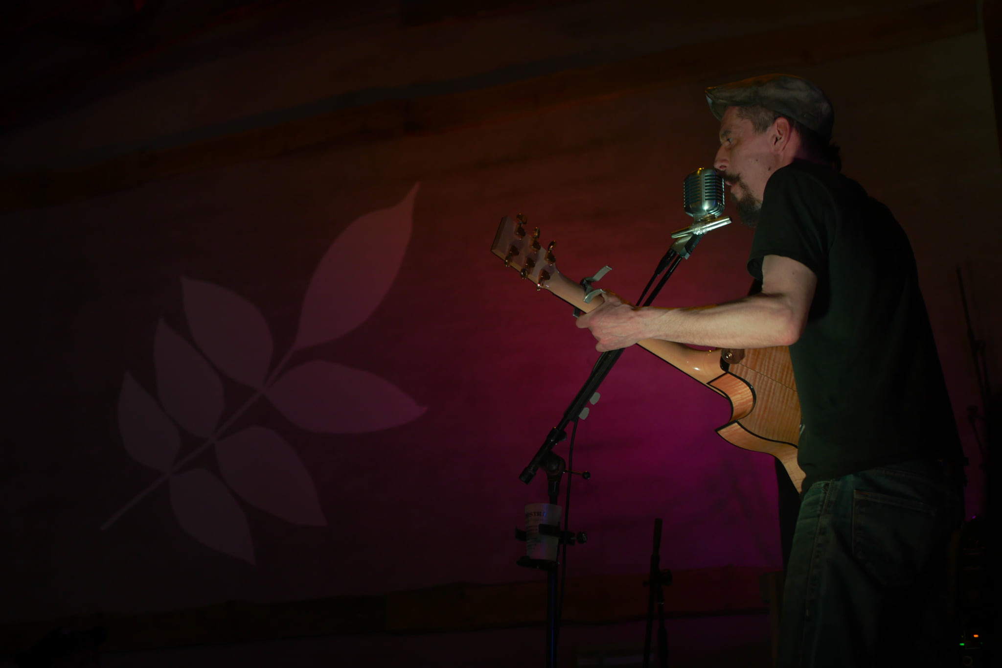 Concert, spectacle, soirées - Alavostra