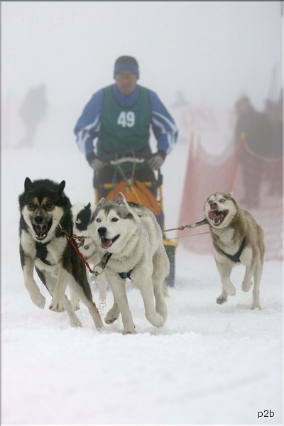 canyon,chinook ,thunder ,thor et  laurent C1 2009