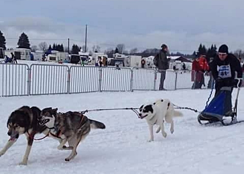 la première course Izzy au  lac blanc 2015