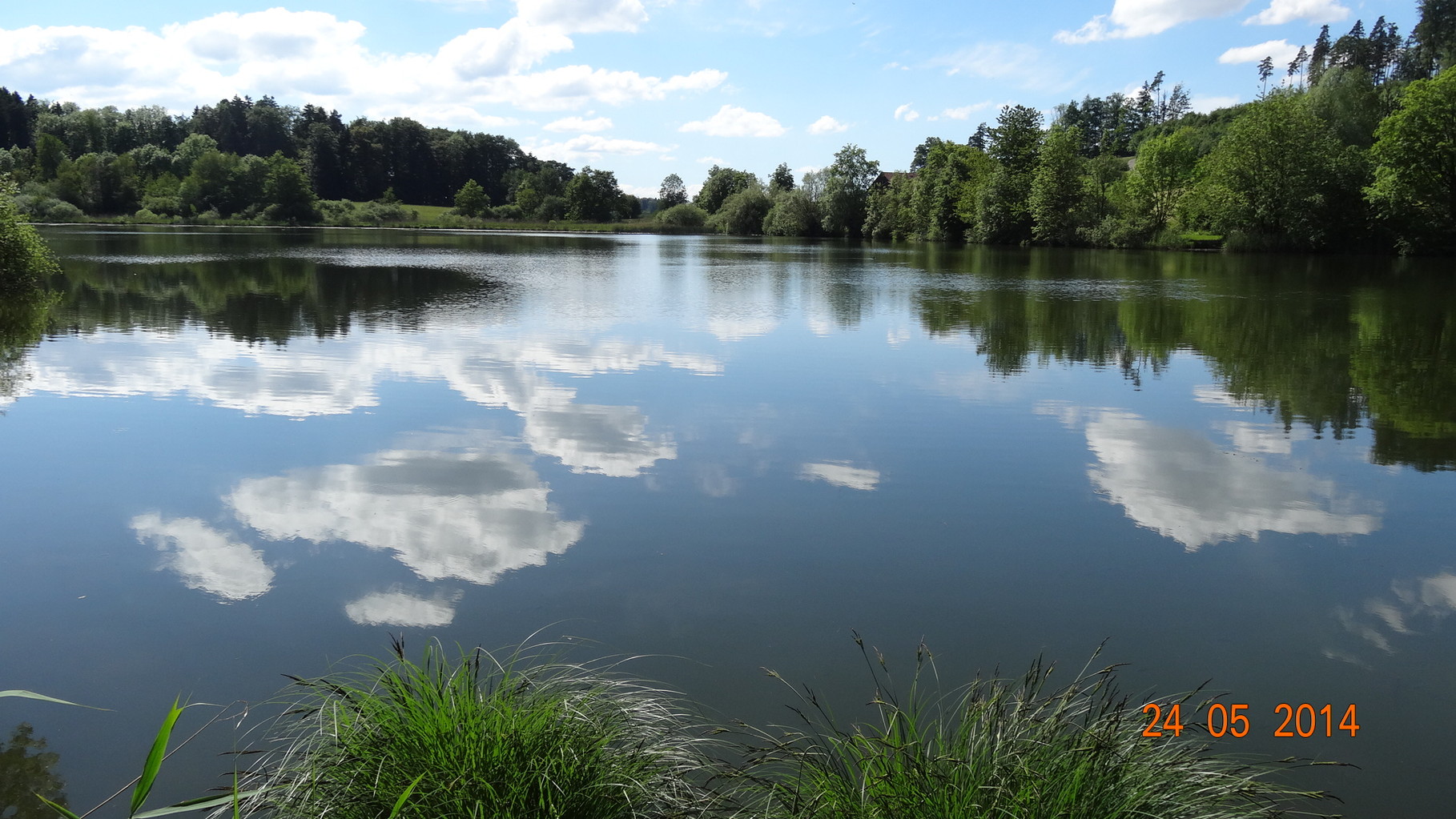 Spiegelung am Weiher
