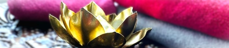 Behandlungsschwerpunkte sind Erschöpfung, Post-/Long Covid, Allergien, Stoffwechsel, Verdauung, Magen-Darm, chronische Erkrankungen, Autoimmun, Kinder Psyche, Haut,