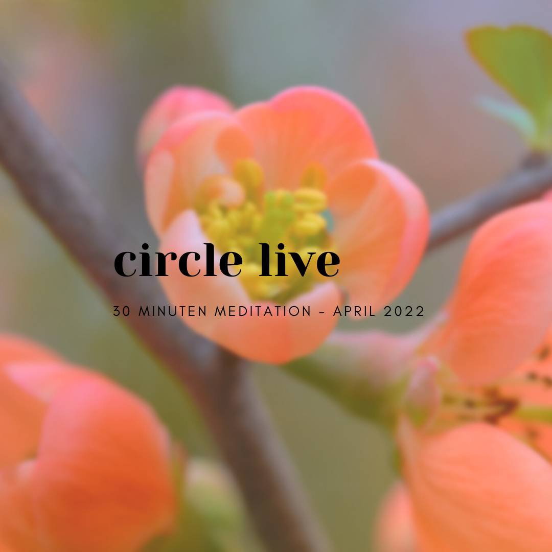 Circle live - Meditate together - April 2022