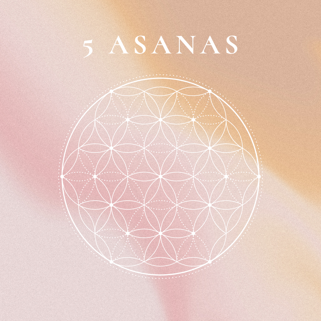 5 Asana Praxis - Aufrichtigkeit