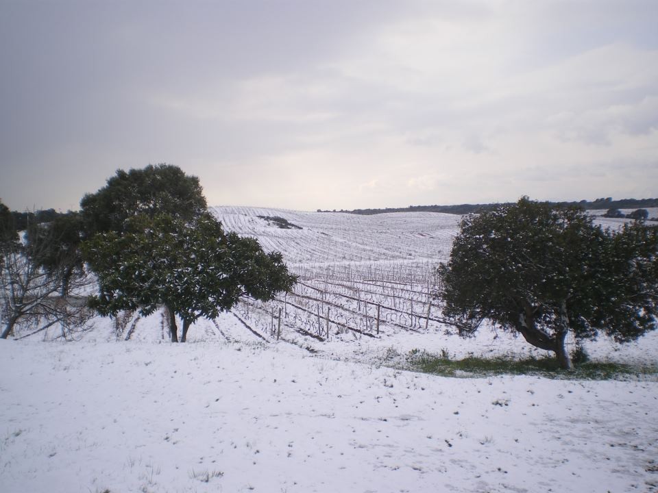 Dans la campagne (Photo Clément Jacques)