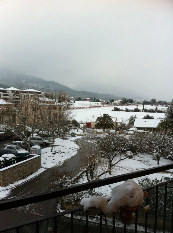 Borgo