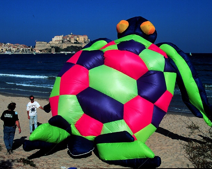 2000, la tortue qui vole
