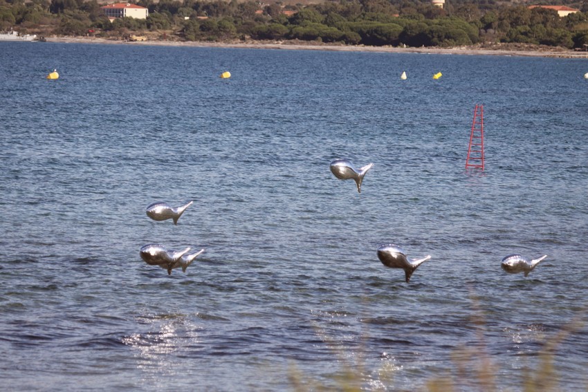 A Festiventu les poissons volent
