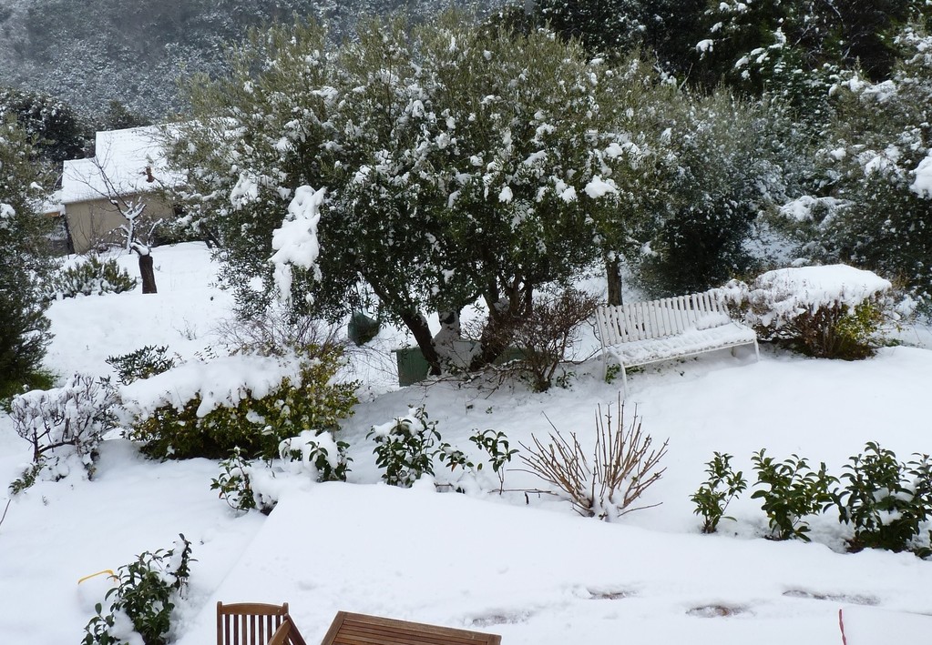 Le jardin… d'été?