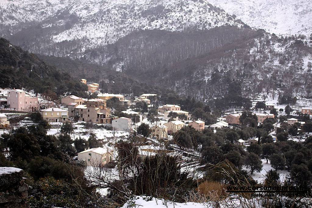 Zilia sous la neige