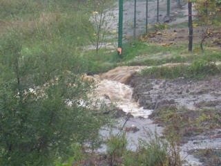 Un gentil petit cours d'eau transformé en torrent à Ortale de Biguglia