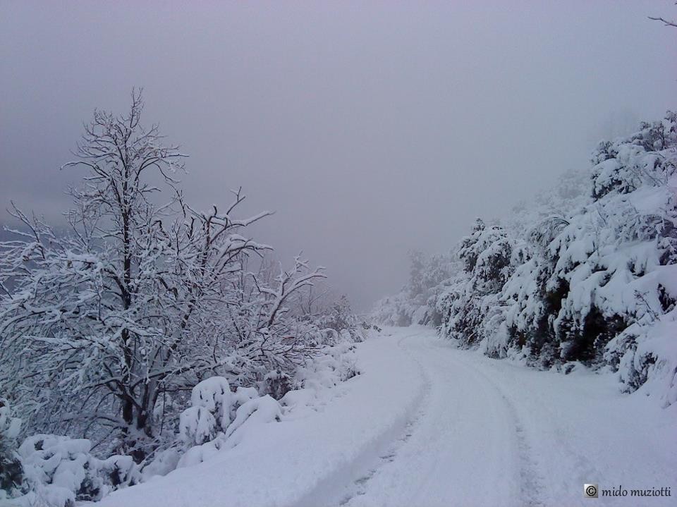 Sur la route d'Erbaghjolu (Mido Muzziotti)