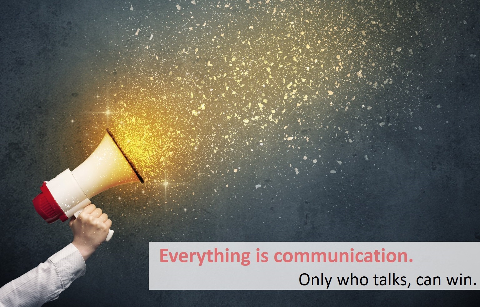 what is your company offering what are your values and visions and what are your