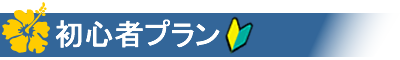 初心者プラン