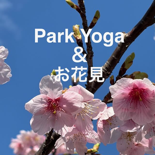パークヨガとお花見
