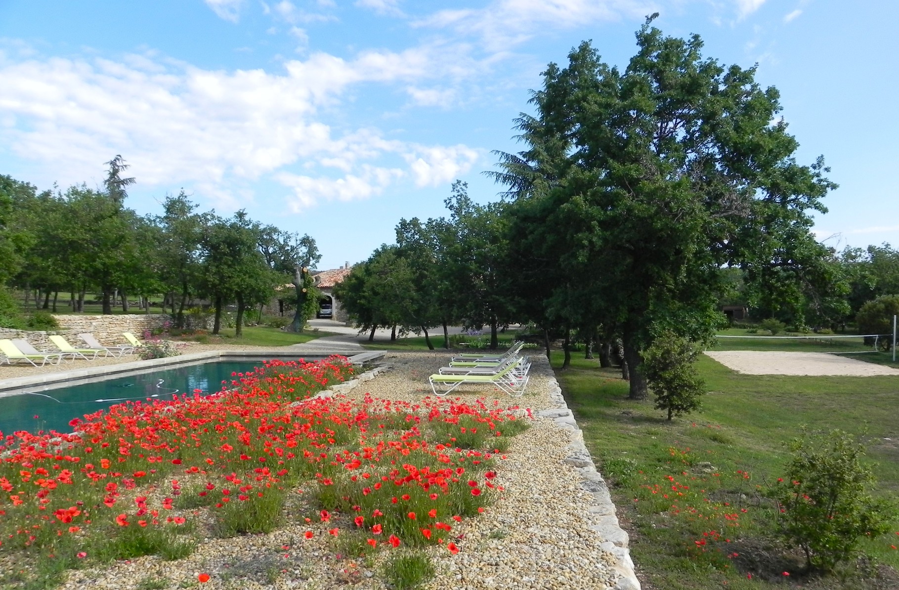 UN PRINTEMPS SOUS LE SIGNE DES COQUELICOTS
