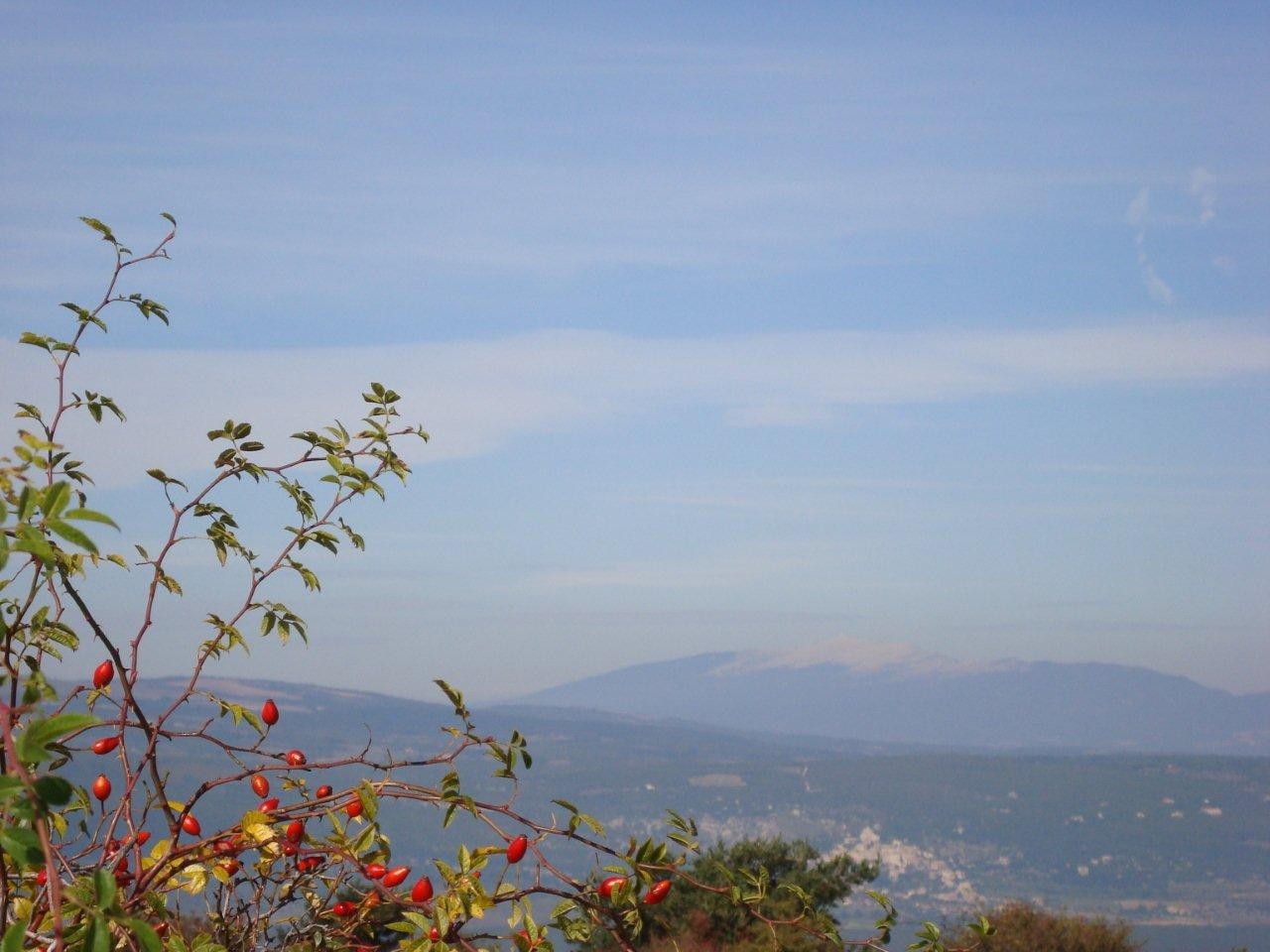 Mont Ventoux, Aussicht von Saint Saturnin