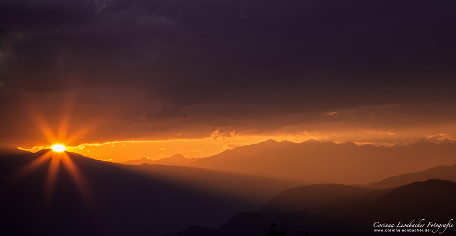 Neue Fotos - Corinna Leonbacher Fotografie