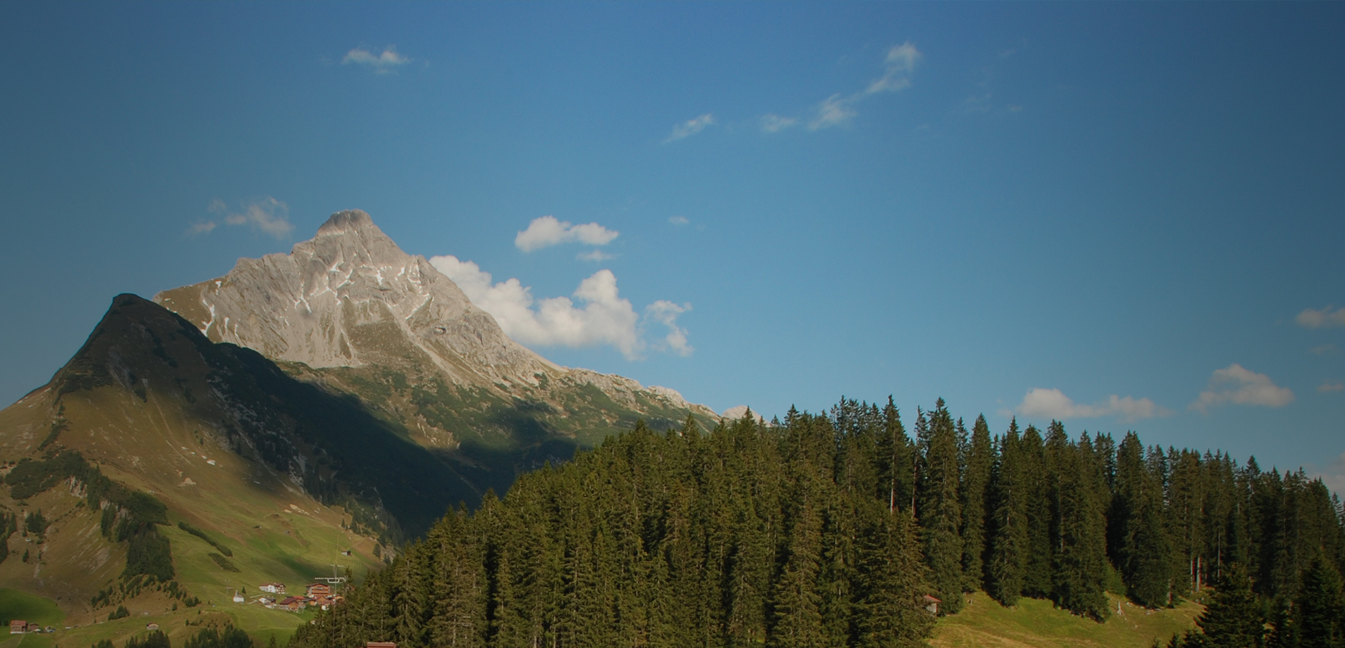 Wälder Metzge
