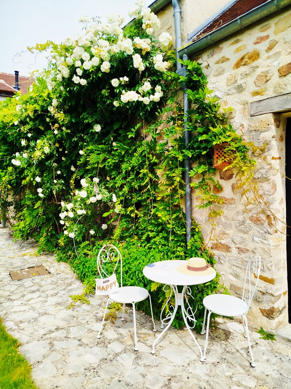 Idéal pour un séjour en couple ou en famille : terrasse privée et jardin arboré avec de beaux rosiers