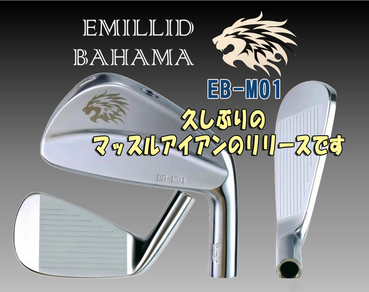 EMILLIDバハマ　EB-MO1　アイアンヘッドパーツ