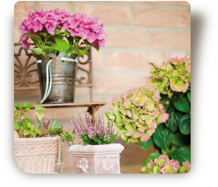 © Steiner Floralmanufaktur.