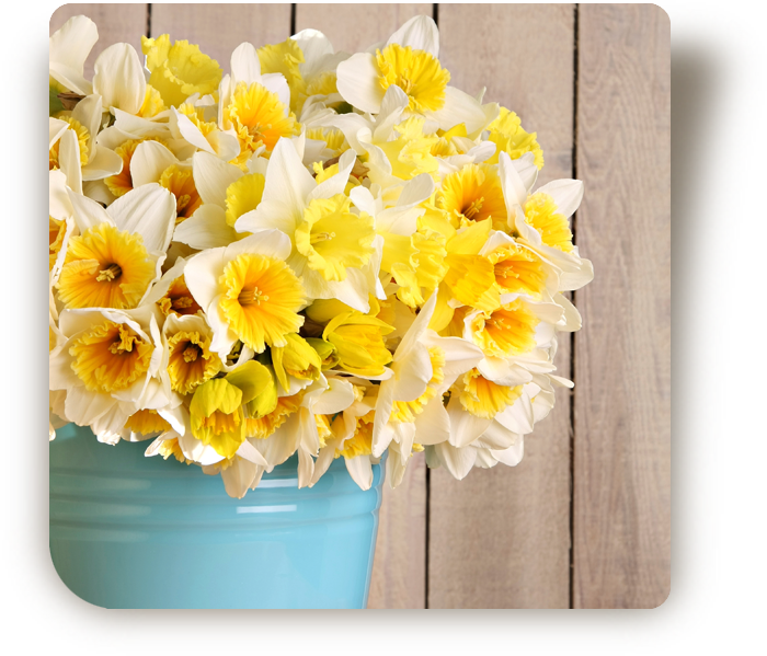© Steiner Floralmanufaktur.