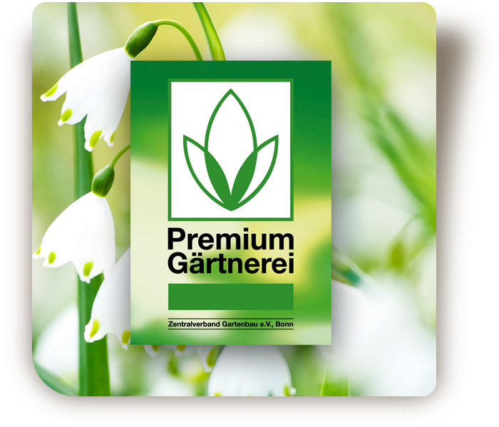 © Steiner Floralmanufaktur.
