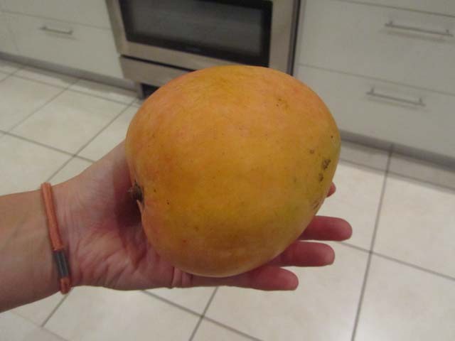 das ist aber ne grosse Mango