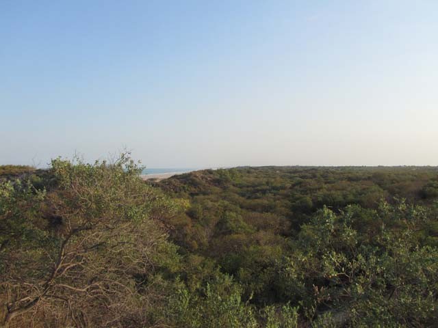 one of the highest points in broome (dunes)