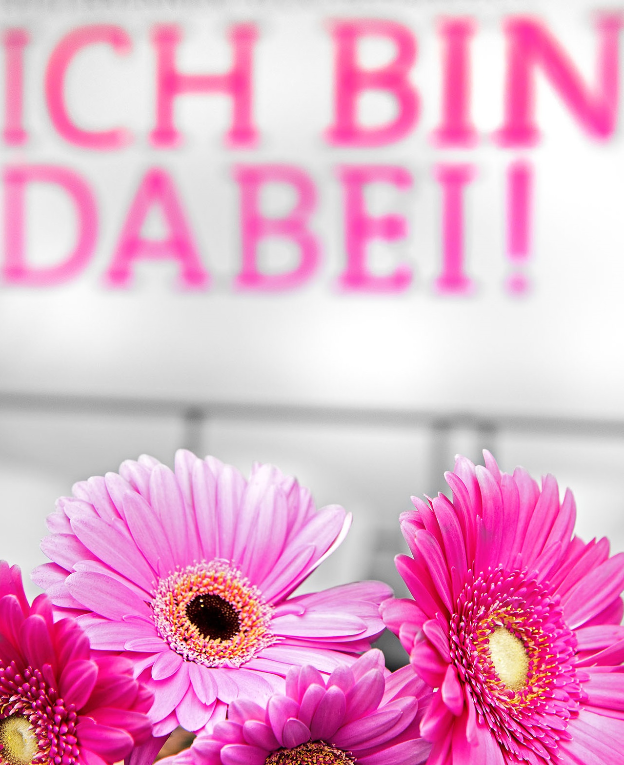 Kontakt ICH BIN DABEI!